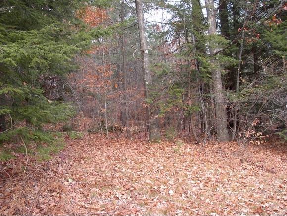0 Fairgrounds Road, Unit 2 Bradford, NH 03221 - Photo 4 of 4