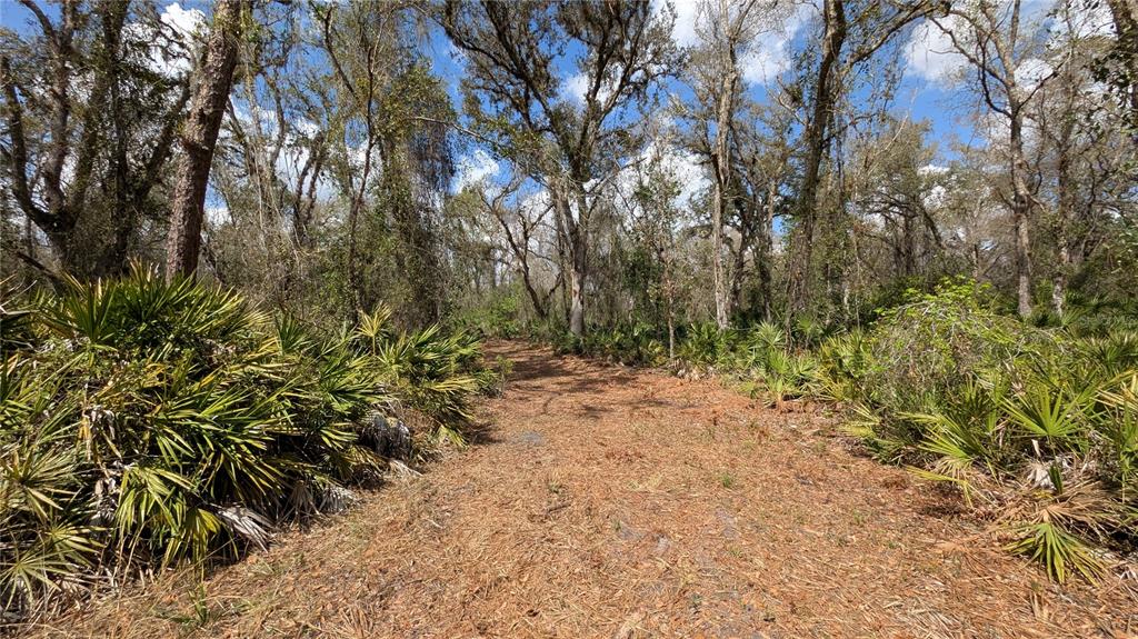 Gillette Road Zolfo Springs, FL 33890 - Photo 36 of 86 Gallery Image 36