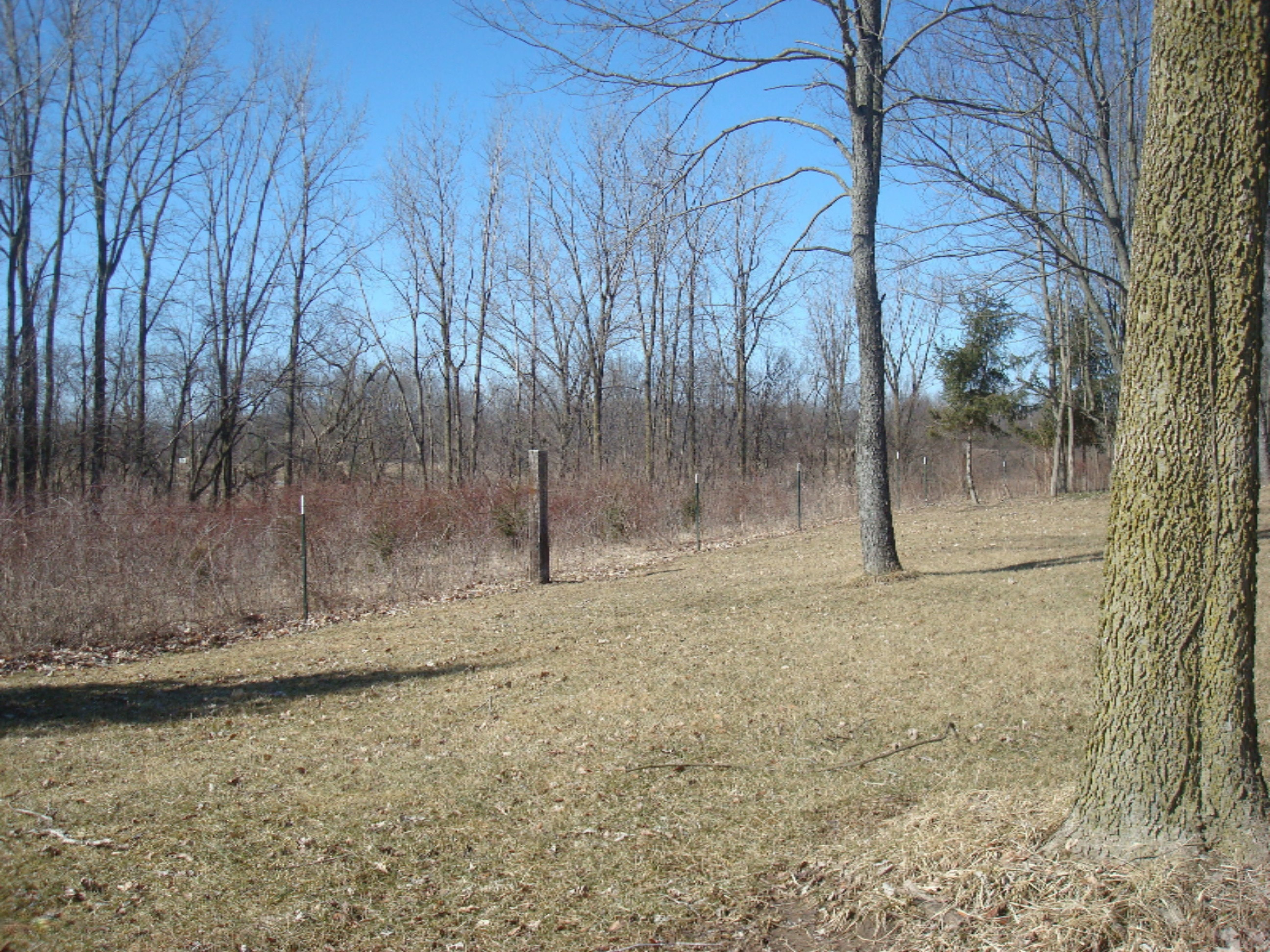 1990 East Camden Road Camden, MI 49232 - Photo 20 of 58 9106-8 (6)