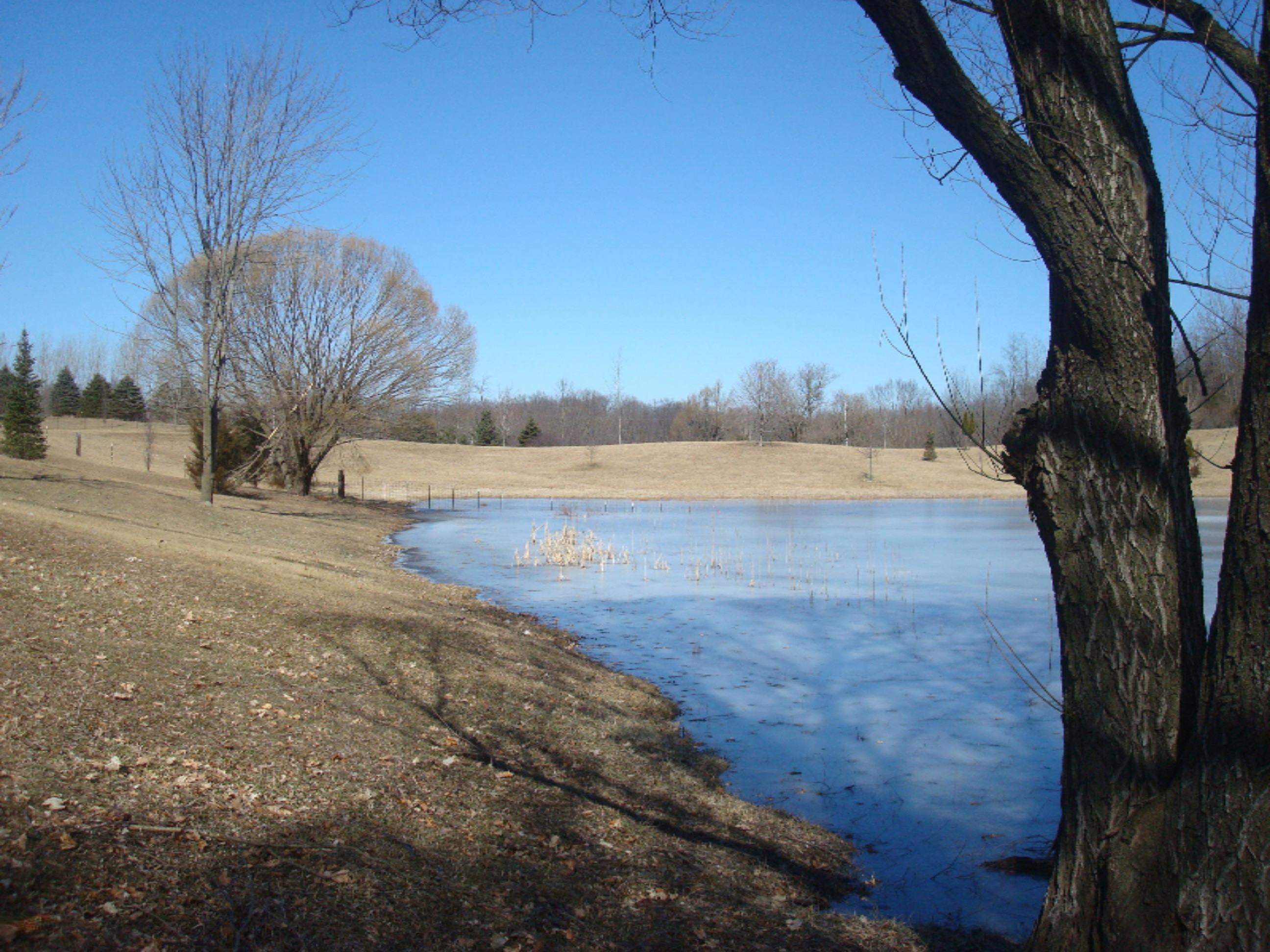 1990 East Camden Road Camden, MI 49232 - Photo 53 of 58 9106-15 (3)