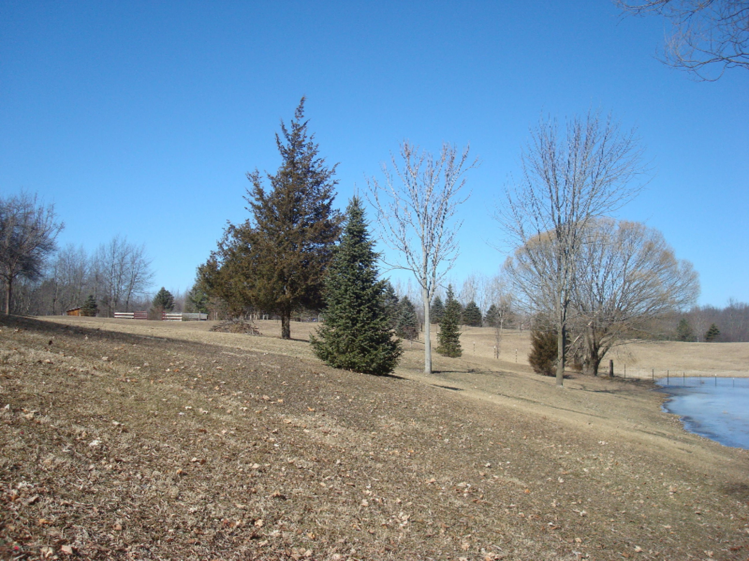 1990 East Camden Road Camden, MI 49232 - Photo 54 of 58 9106-15 (4)