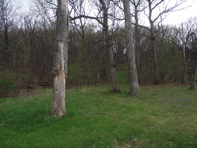 Lot 012 Tuscola Ave Street South Elgin, IL 60177 - Photo 1 of 1 a view of a park