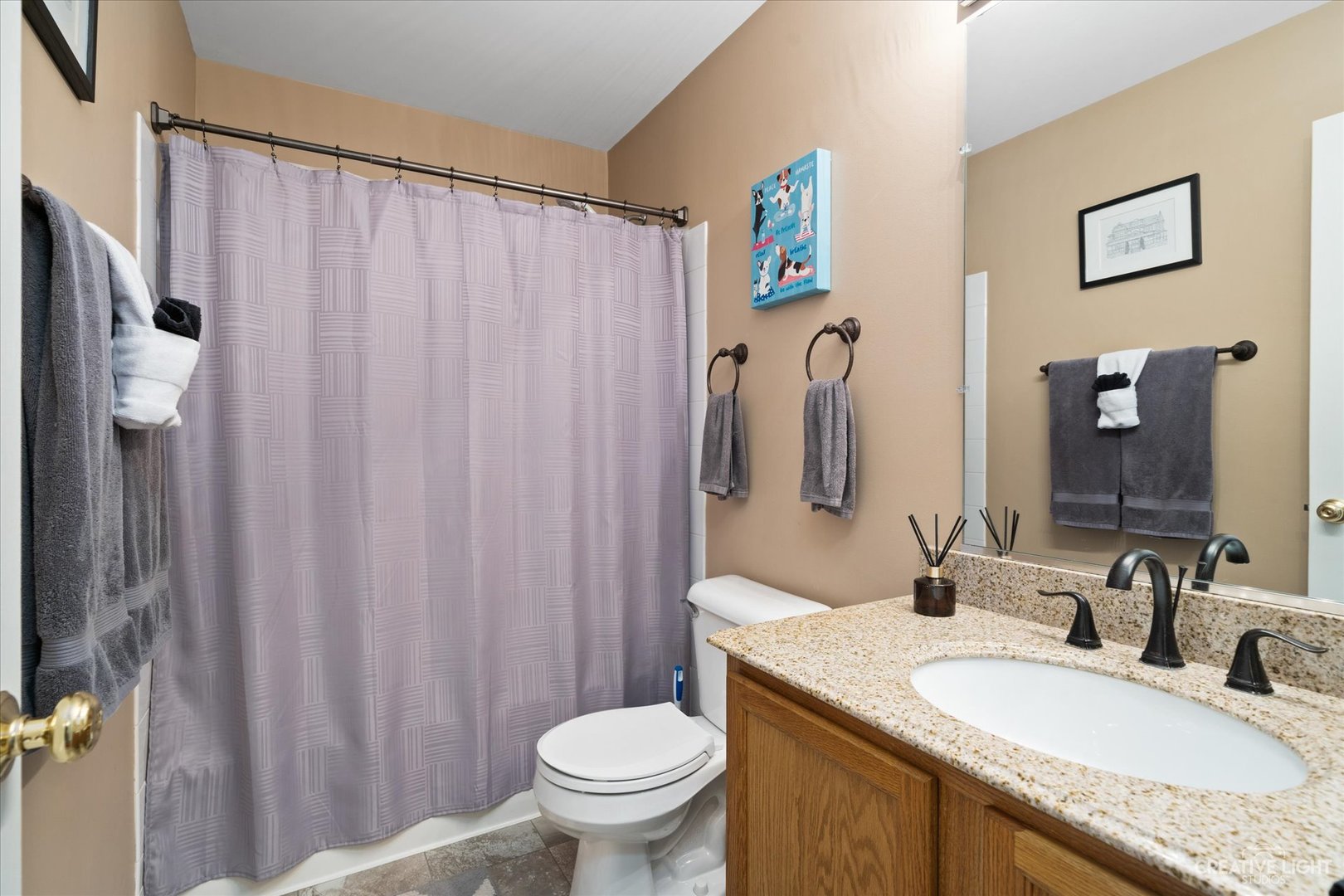 2408 Oneida Lane Naperville, IL 60563 - Photo 13 of 17 a bathroom with a granite countertop sink toilet and a mirror