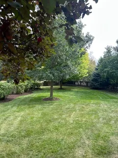 a backyard of a house with lots of green space