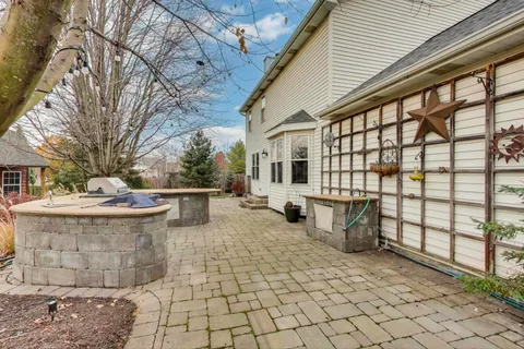 a view of a dry yard with large trees
