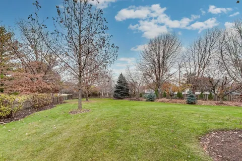 a view of a trees in a yard