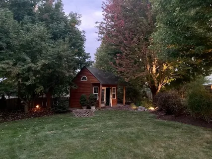 a garden view with a trees