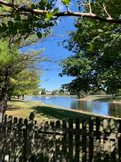 a view of a park with large trees