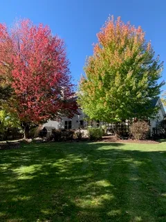 a view of backyard with green space