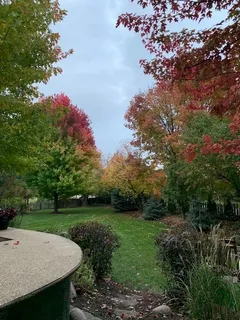 a view of a field with tree s