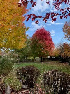 a view of a room with garage