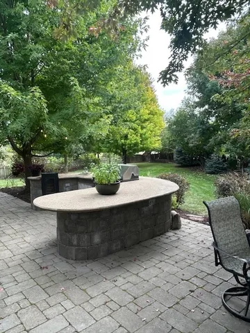 a view of a swimming pool with a chair and potted plants