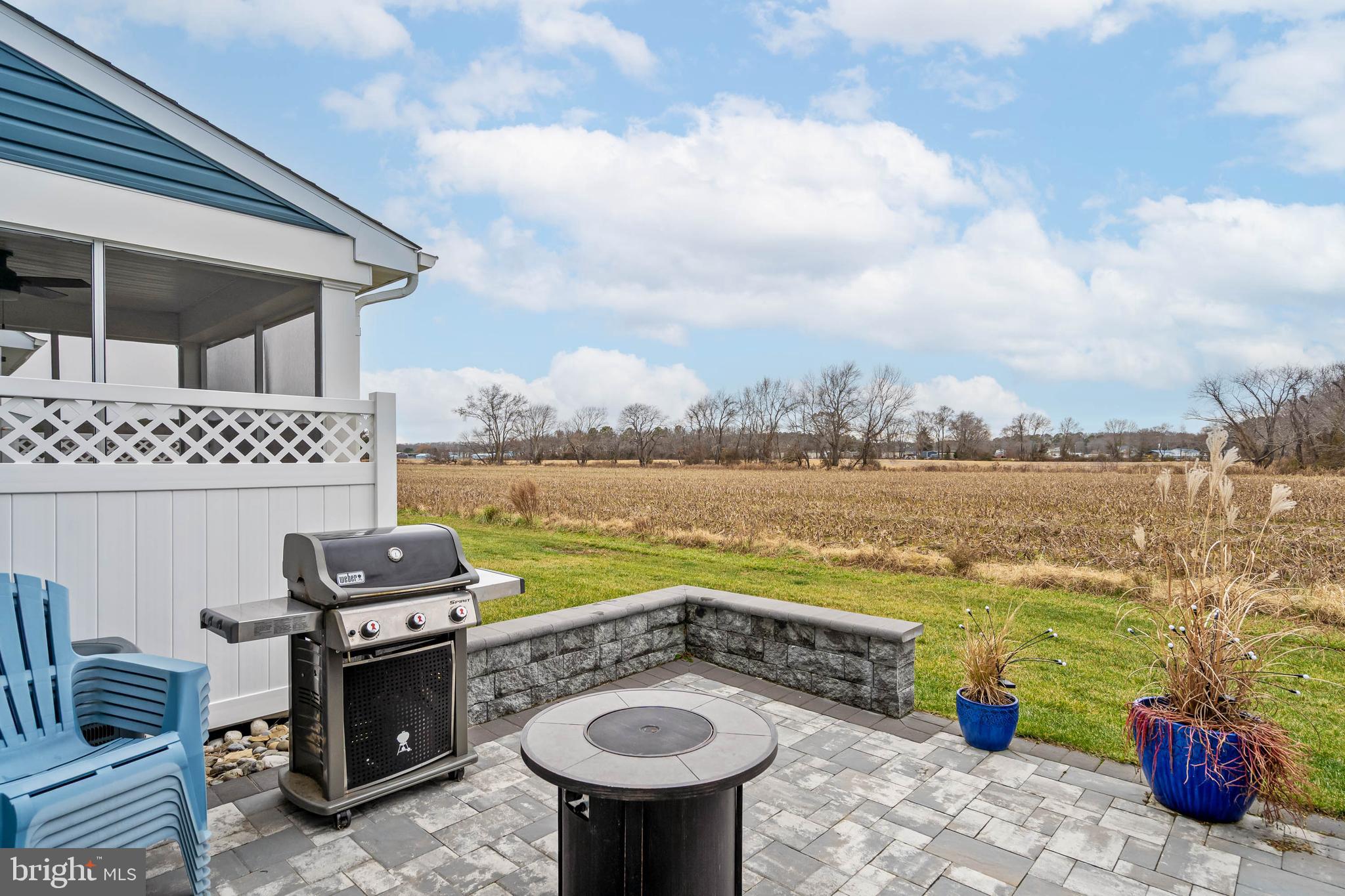 38053 Cross Gate Road Millville, DE 19967 - Photo 31 of 48 Gas Grill and Firepit