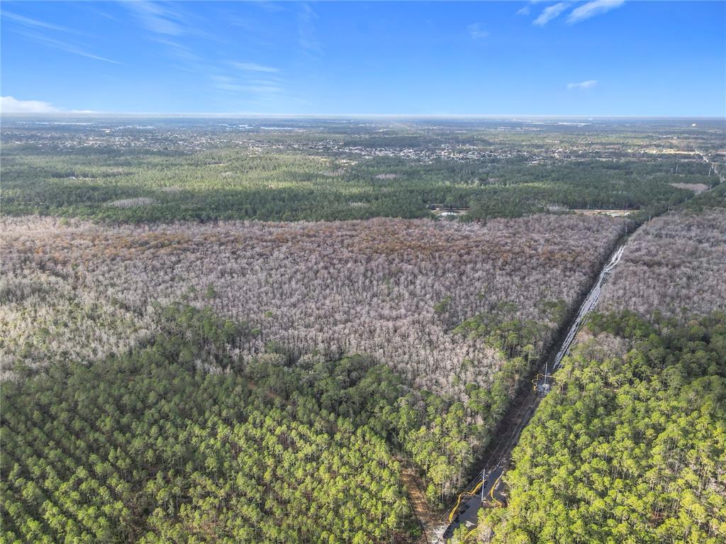 2459 Old Train Road Deltona, FL 32738 - Photo 20 of 21 Gallery Image 20