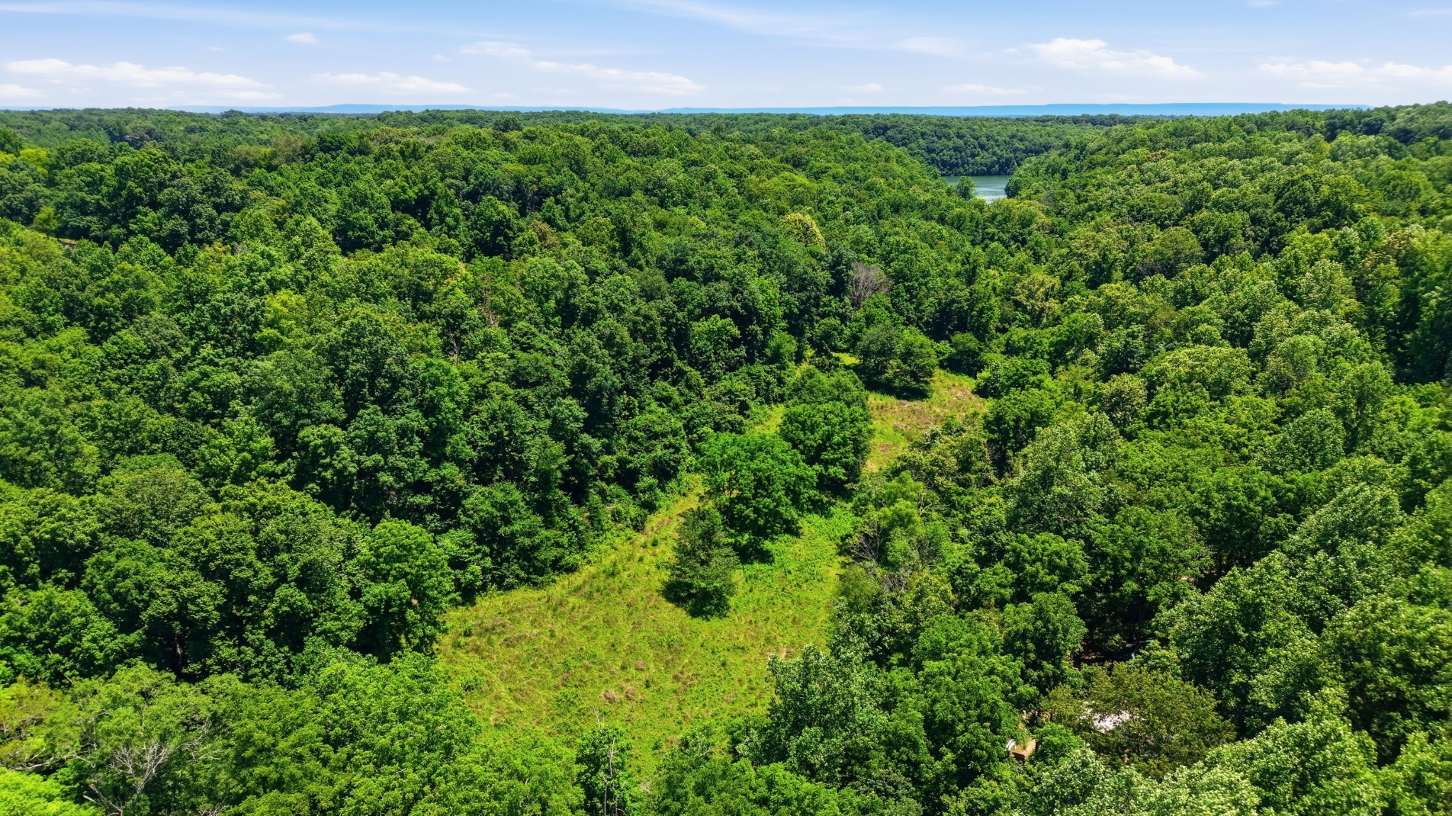 0 Tankersley Ridge Road Tullahoma, TN 37388 - Photo 14 of 16