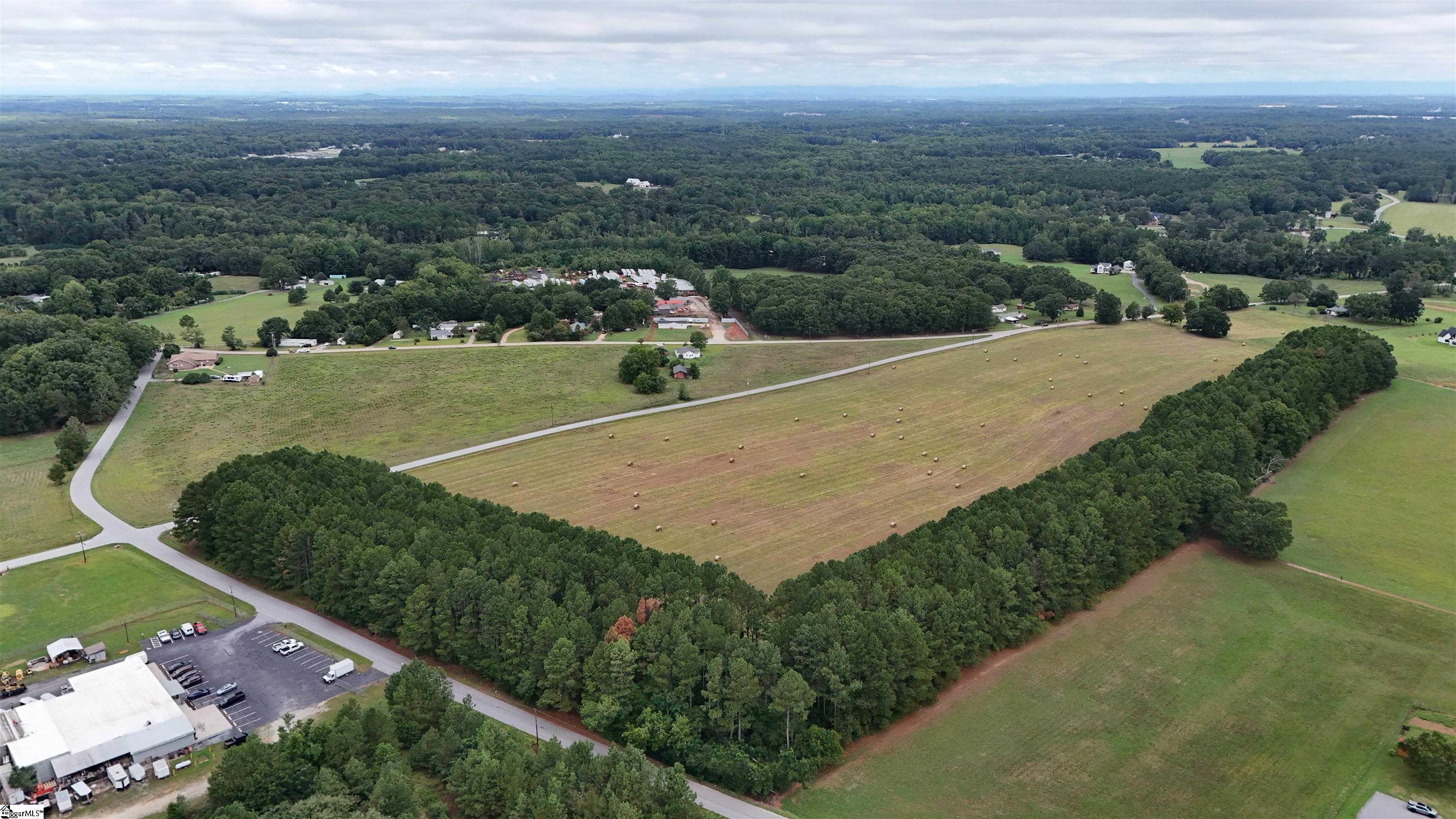 0 Richey Road, Unit LOT 2 Pelzer, SC 29669 - Photo 4 of 10
