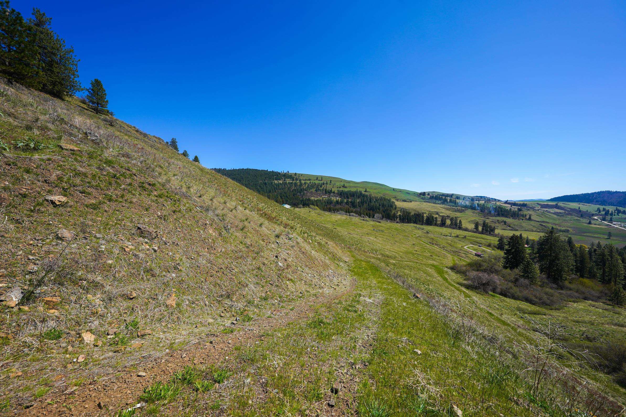 2801 McNitt Road Kettle Falls, WA 99141 - Photo 21 of 46