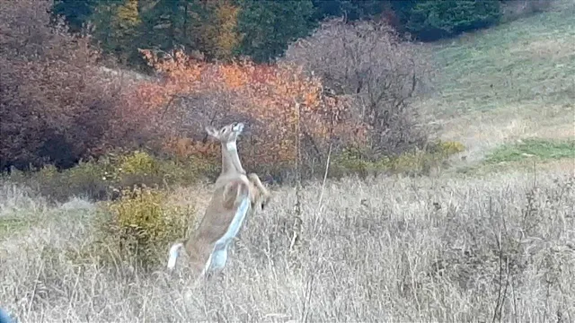 $460,000 | 2801 McNitt Road, Kettle Falls, WA 99141