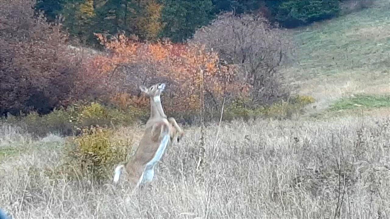 2801 McNitt Road Kettle Falls, WA 99141 - Photo 28 of 46