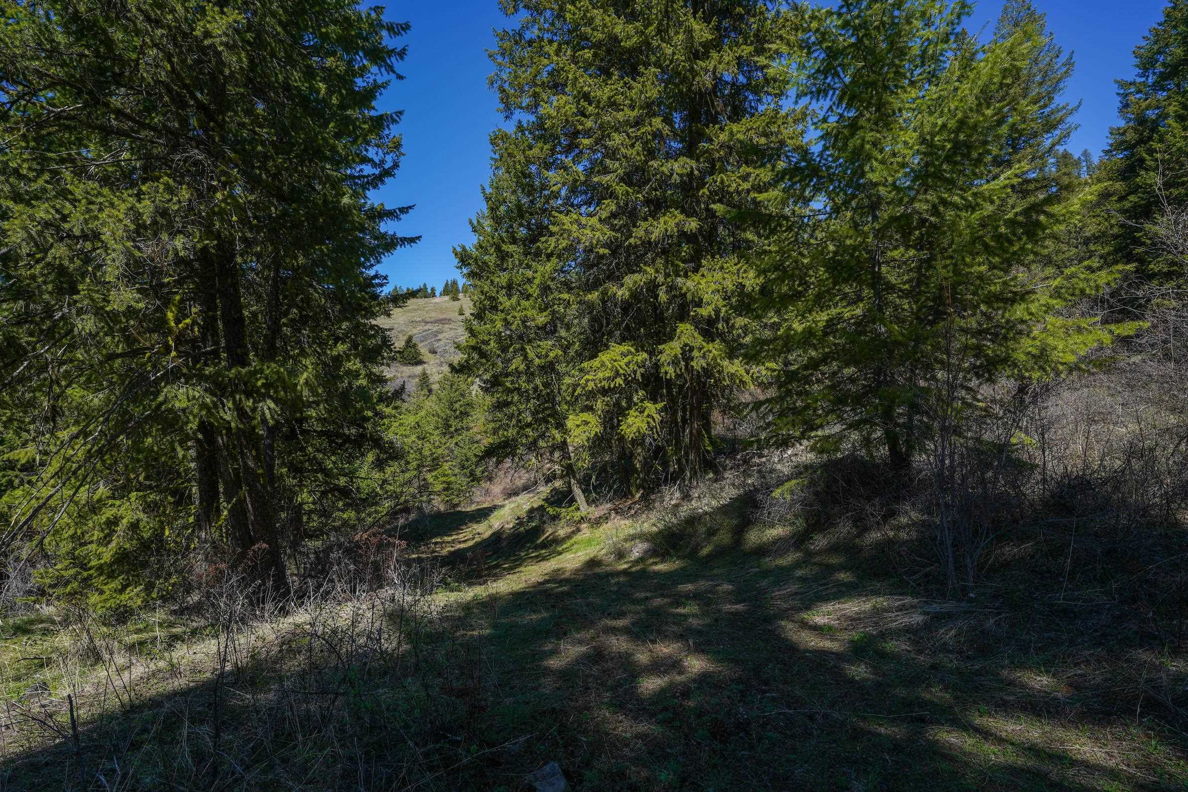 2801 McNitt Road Kettle Falls, WA 99141 - Photo 29 of 46