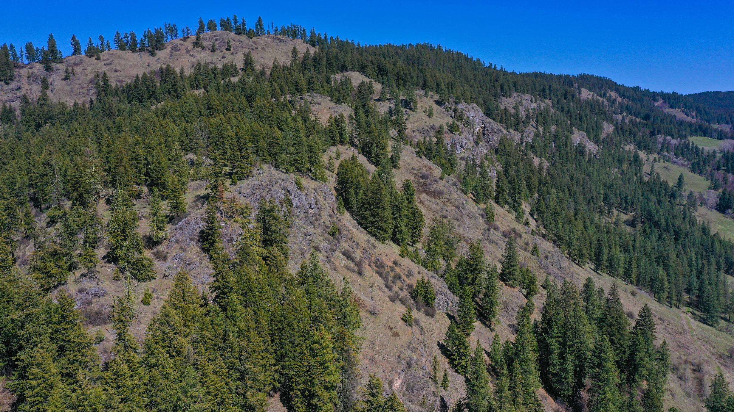 2801 McNitt Road Kettle Falls, WA 99141 - Photo 31 of 46