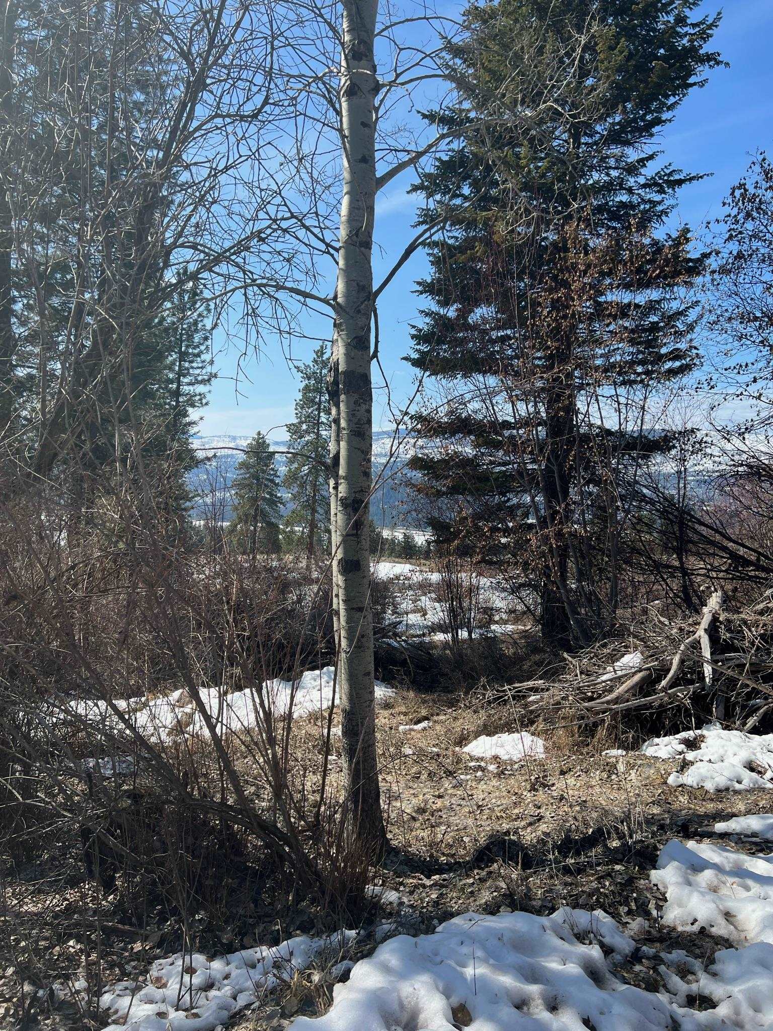 2801 McNitt Road Kettle Falls, WA 99141 - Photo 35 of 46