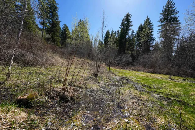 $460,000 | 2801 McNitt Road, Kettle Falls, WA 99141