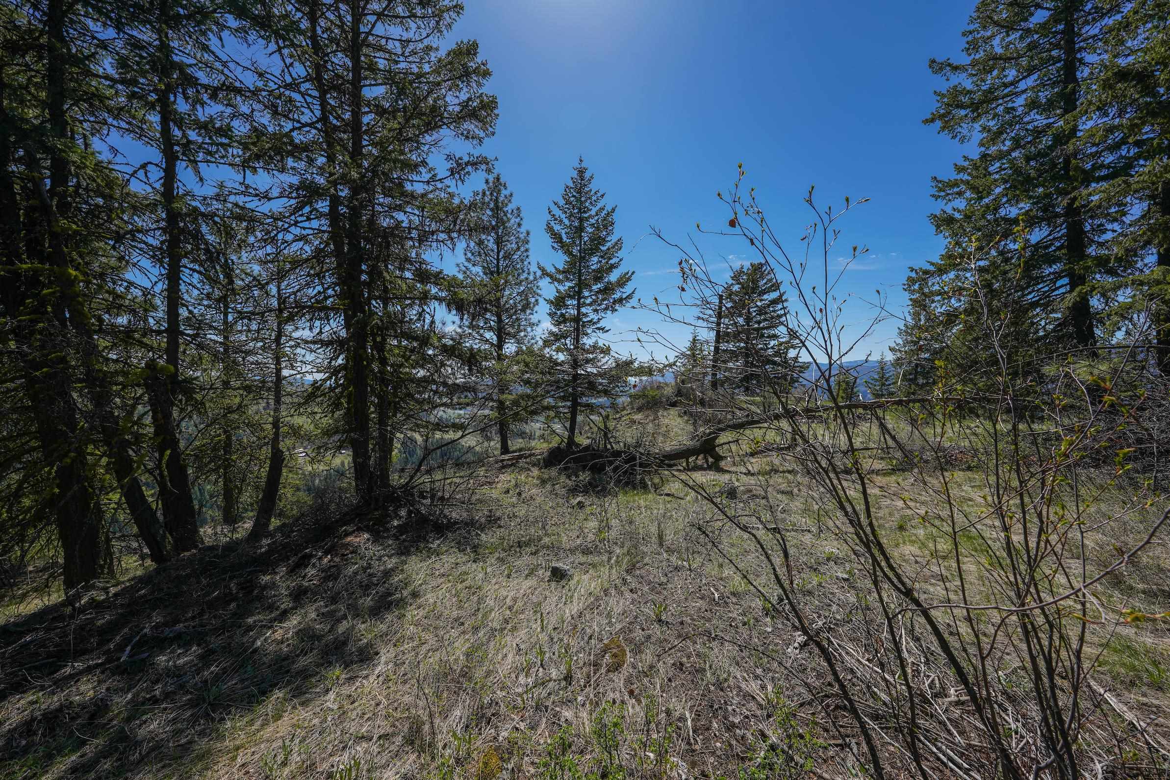 2801 McNitt Road Kettle Falls, WA 99141 - Photo 38 of 46