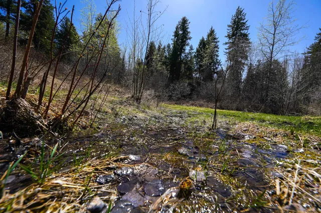 $460,000 | 2801 McNitt Road, Kettle Falls, WA 99141