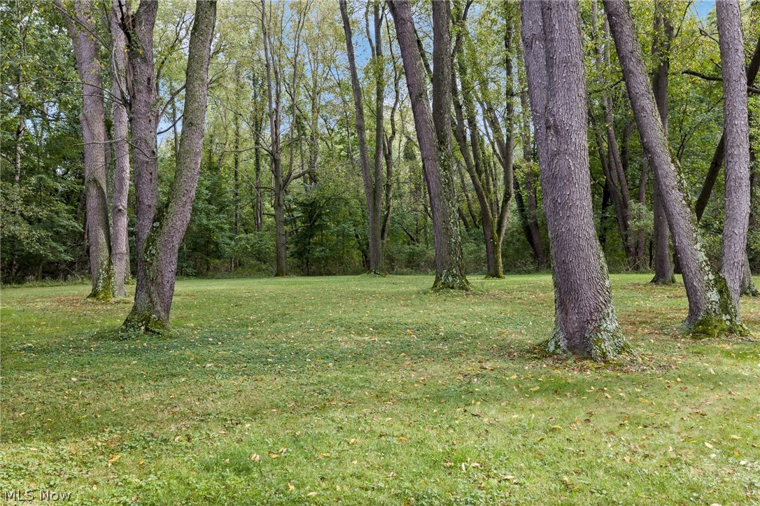 806 East Warner Road Akron, OH 44319 - Photo 39 of 50 Gallery Image 39