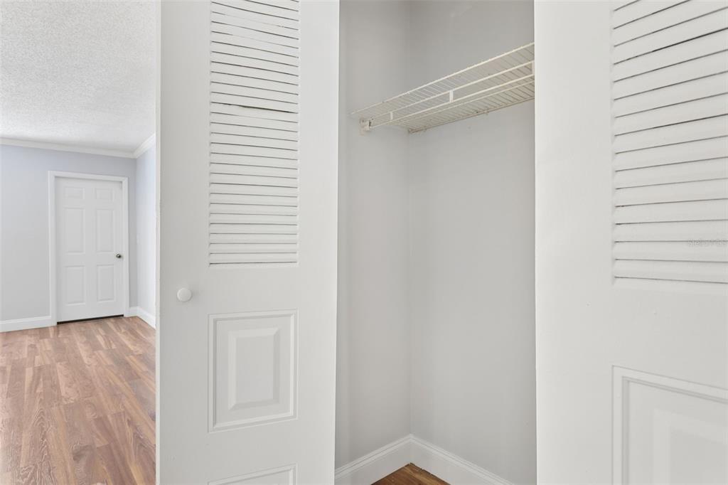 10307 Councils Way Temple Terrace, FL 33617 - Photo 16 of 50 a view of closet area