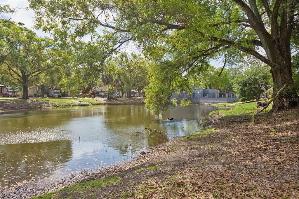 10307 Councils Way Temple Terrace, FL 33617 - Photo 49 of 50 a view of a lake with houses