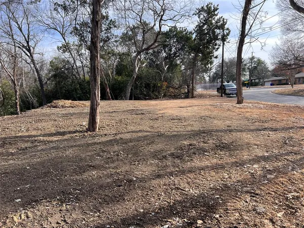 a street view of road with tree