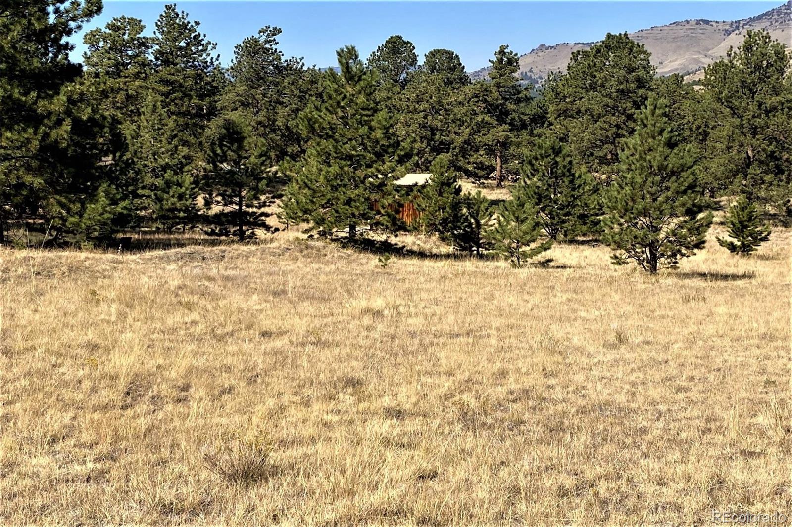 10658 Witcher Mountain Road Guffey, CO 80820 - Photo 19 of 38 Gallery Image 19