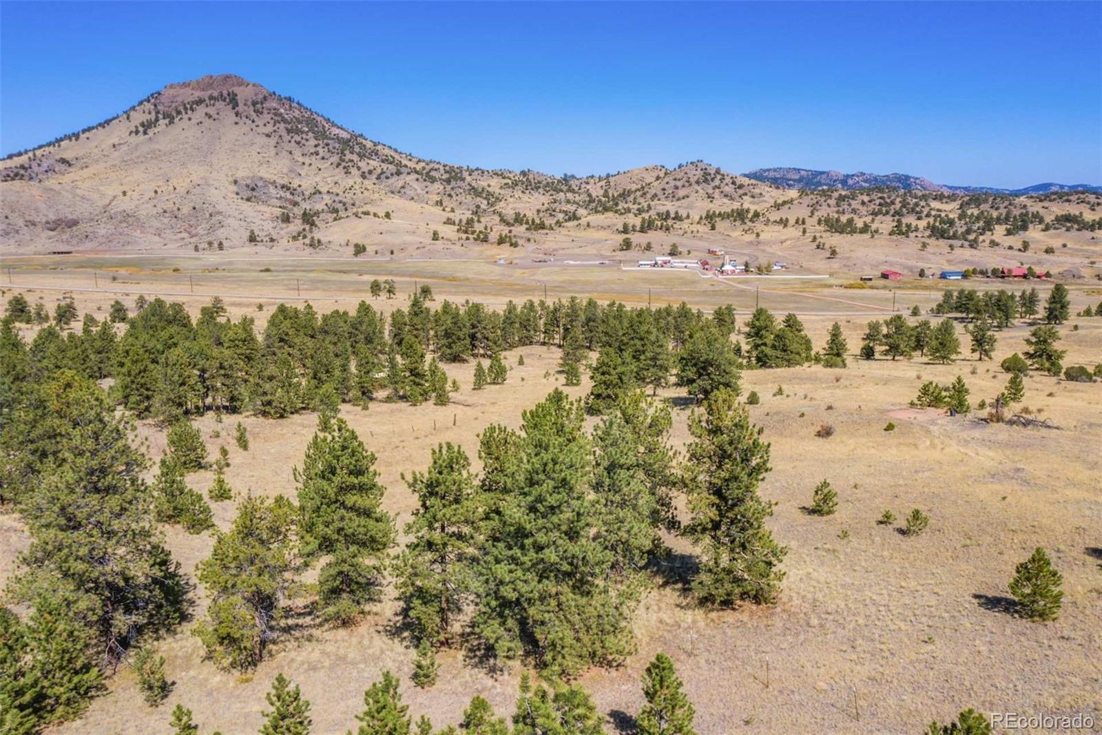 10658 Witcher Mountain Road Guffey, CO 80820 - Photo 22 of 38 Gallery Image 22