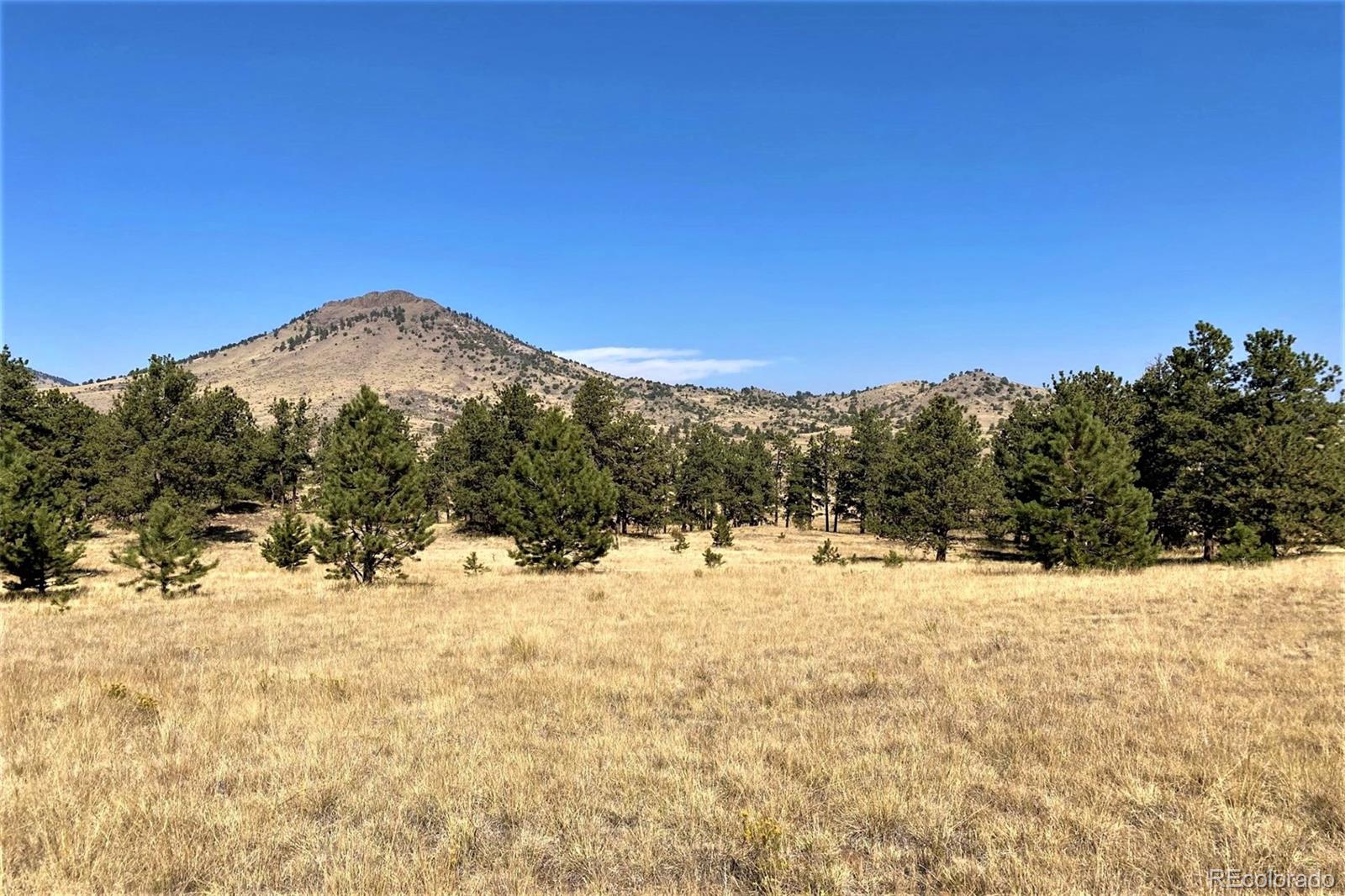 10658 Witcher Mountain Road Guffey, CO 80820 - Photo 3 of 38 Gallery Image 3