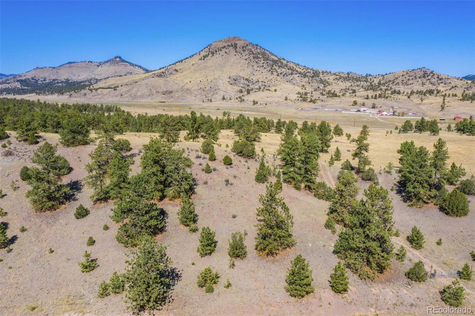 10658 Witcher Mountain Road Guffey, CO 80820 - Photo 4 of 38 Gallery Image 4