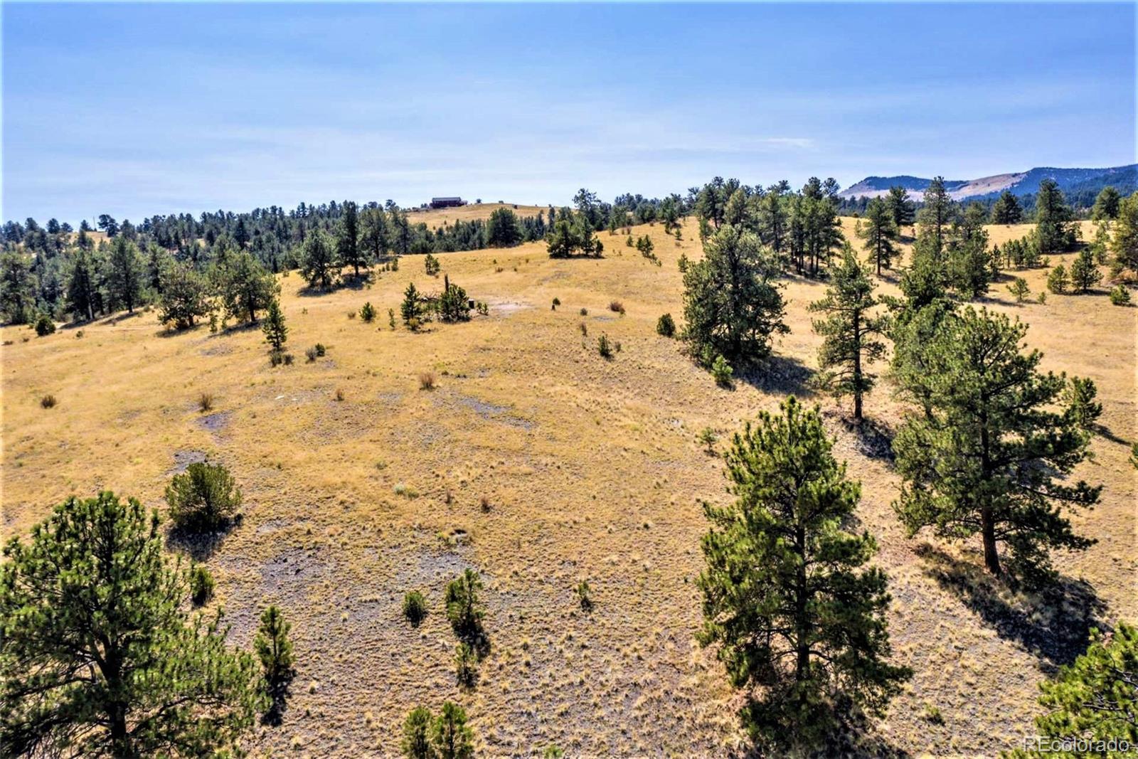 10658 Witcher Mountain Road Guffey, CO 80820 - Photo 8 of 38 Gallery Image 8