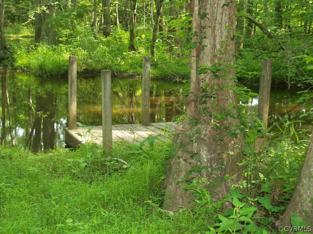 5645 West Run Road Charles City, VA 23030 - Photo 3 of 12 Gallery Image 3