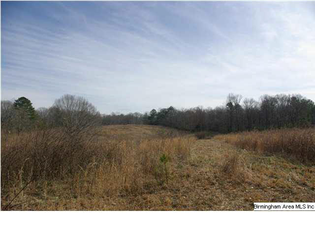 2 Horton Mill Road, Unit 2 Cleveland, AL 35049 - Photo 7 of 28
