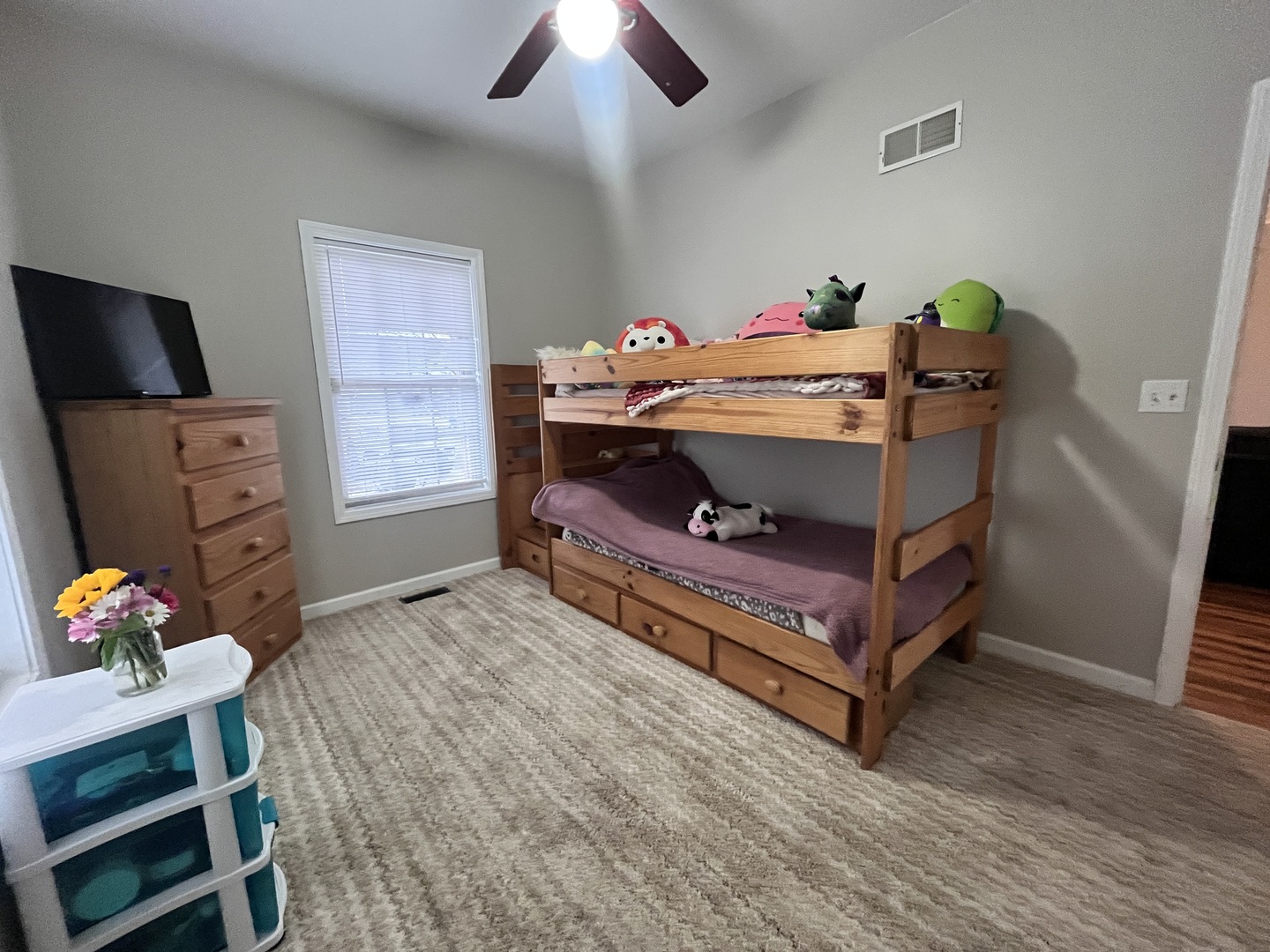5488 Tick Ridge Road Grand Chain, IL 62941 - Photo 32 of 55 a room with furniture and a flat screen tv
