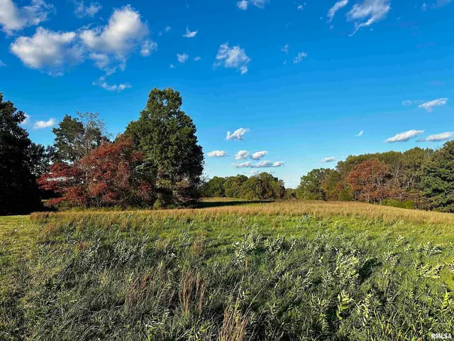 $100,000 | 0 Galatia Road, Galatia, IL 62935