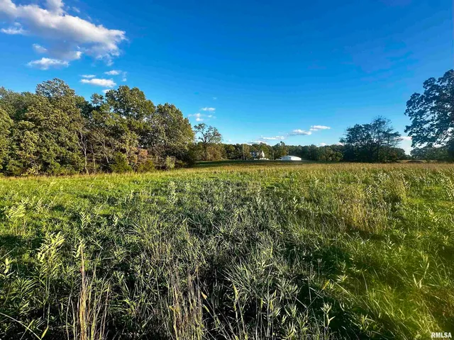 $100,000 | 0 Galatia Road, Galatia, IL 62935