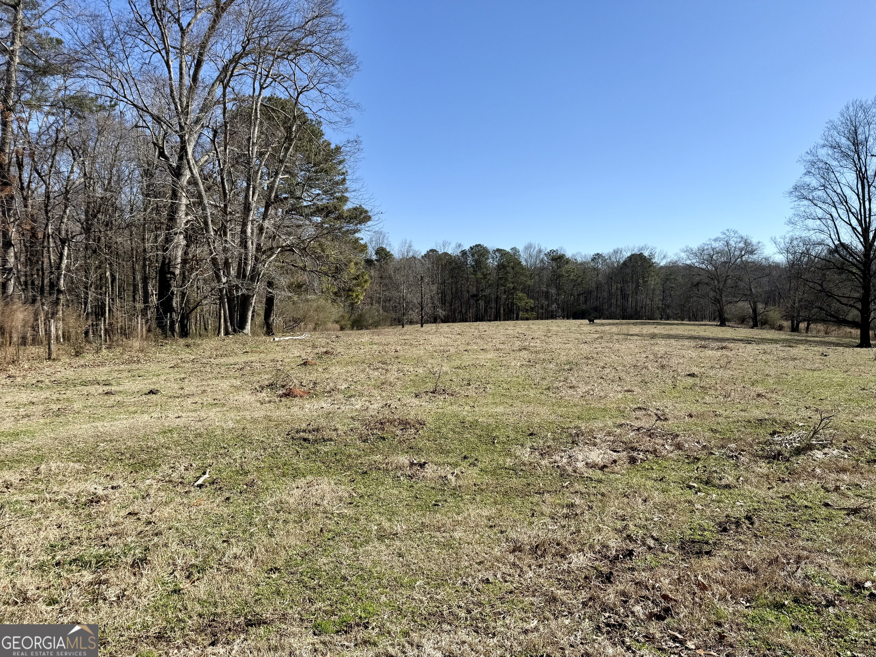 1120 Kansas Jake Road Waco, GA 30182 - Photo 32 of 42