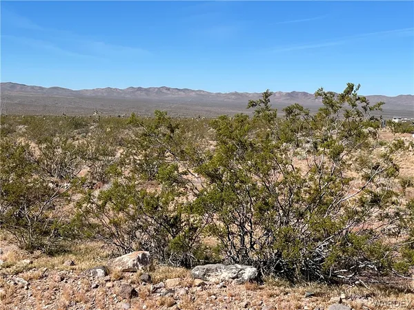 a view of a mountain