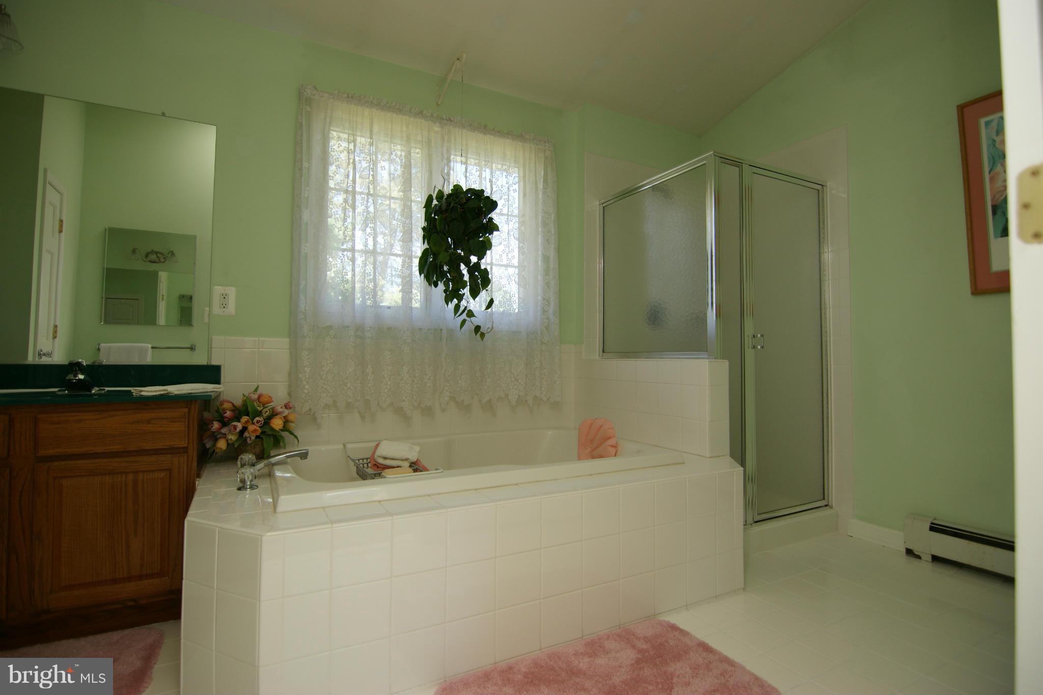 535 Stratford Road Fallston, MD 21047 - Photo 15 of 29 Master Bath with Soaking Tub