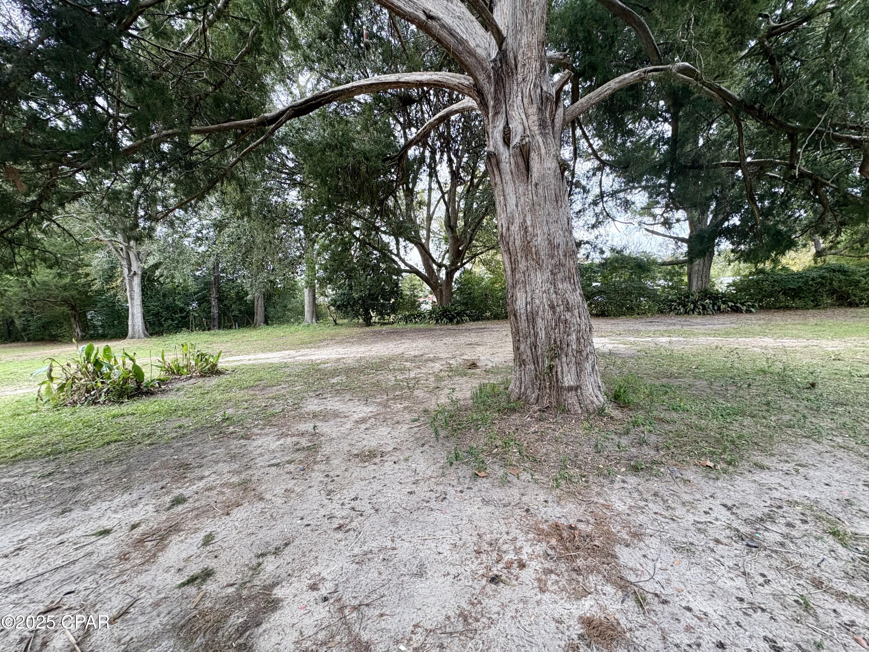 1214 Johnson Avenue Chipley, FL 32428 - Photo 22 of 26