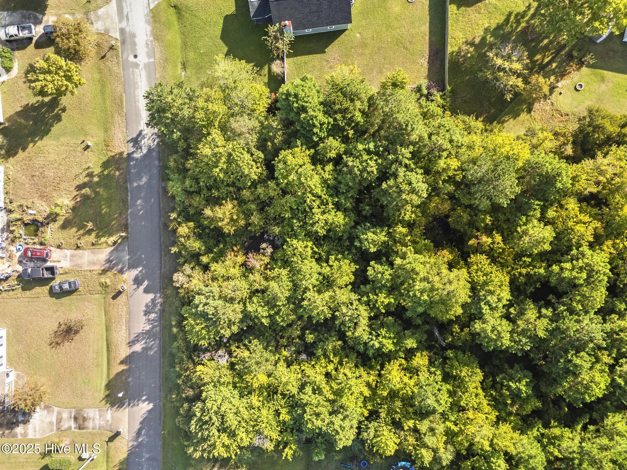 406 Foxtrace Lane Hubert, NC 28539 - Photo 4 of 16 DJI_20250923090249_0172_D