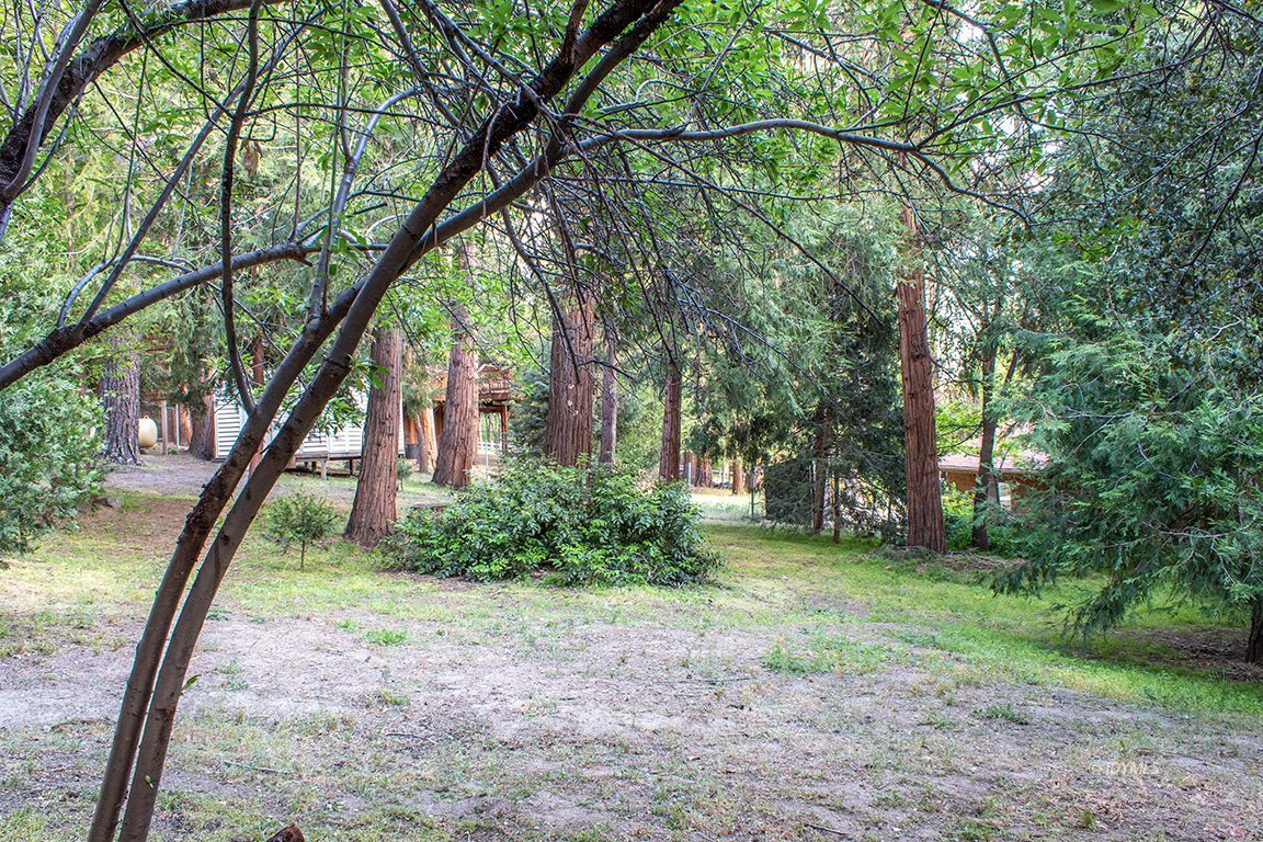 25341 Tahquitz Road Idyllwild, CA 92549 - Photo 27 of 56 a view of a garden with a tree