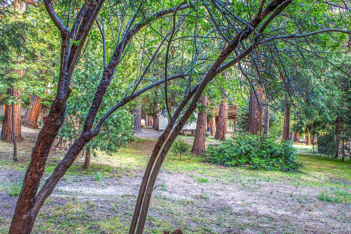 25341 Tahquitz Road Idyllwild, CA 92549 - Photo 51 of 56 Untitled